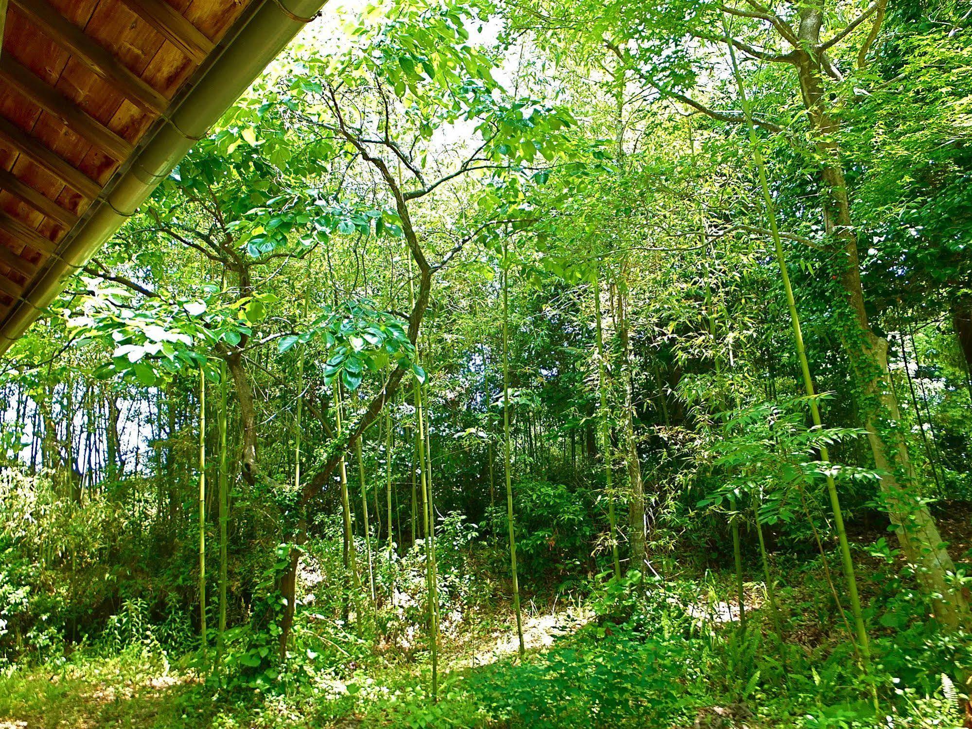 Kominka Sharehouse Hooju Miyazaki Bagian luar foto